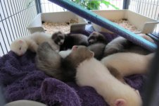 De meeste kinders beneden